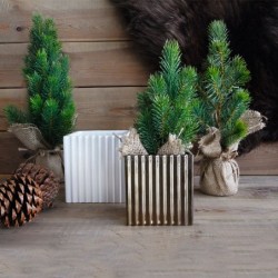 Pino Artificial de 33cm - Quadro