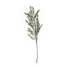 Pine Twig 78cm - Deko
