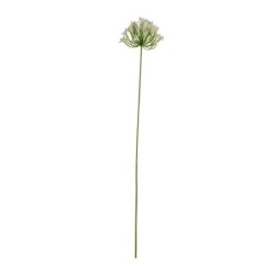 Artificial Agapanthus Twig 75cm - Deko