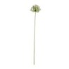 Artificial Agapanthus Twig 75cm - Deko