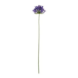 Artificial Agapanthus Twig 75cm Lilac - Deko