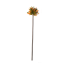 Artificial Allium Orange Twig 56cm - Deko