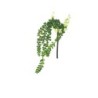 Succulent Hanging - Deko