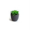 Artificial Plant Succulent II - Deko