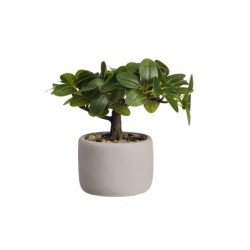 Bonsai Ficus Artificial – Deko