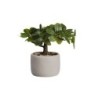 Bonsai Ficus Artificial – Deko