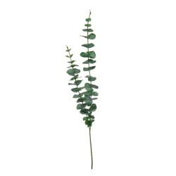 Haste de Eucalipto 83,5cm - Deko