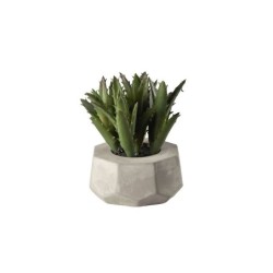 Artificial Plant Succulent IV - Deko