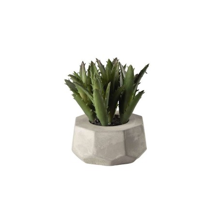 Planta Artificial Suculentas IV - Deko