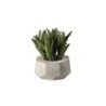 Planta Artificial Suculentas IV - Deko