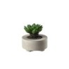 Planta Artificial Suculentas V - Deko