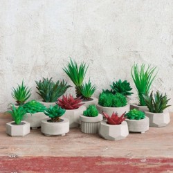 Planta Artificial Suculentas V - Deko
