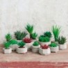 Planta Artificial Suculentas V - Deko
