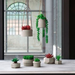 Planta Artificial Suculentas V - Deko