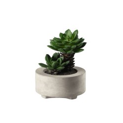 Maxi Succulent Artificial Plant V - Deko