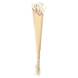 Phalaris Bouquet - Dried Flowers