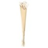 Phalaris Bouquet - Dried Flowers