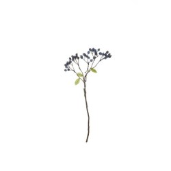 Blueberry Twig - Deko
