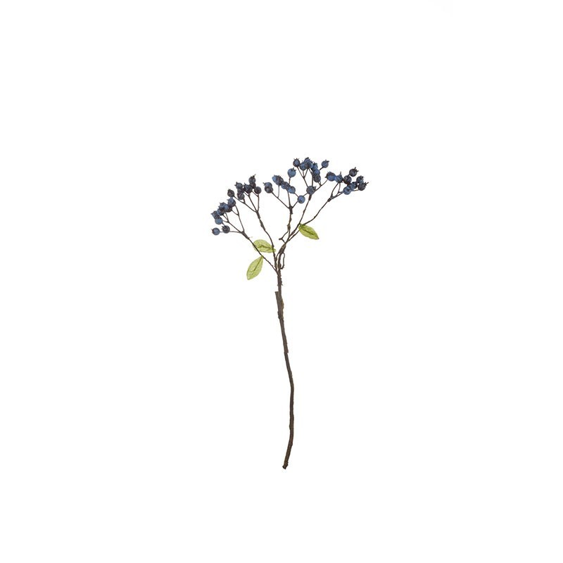 Blueberry Twig - Deko