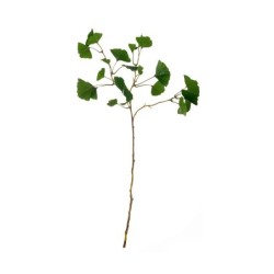 Haste Ginkgo 72cm – Deko