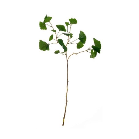 Haste Ginkgo 72cm – Deko