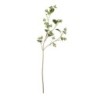 Dewberry Twig 77,5cm - Deko