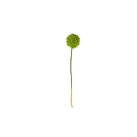 Allium Xl Twig - Deko