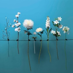 Artificial Clematis Cirrus Twig 78cm - Deko