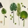 Ruffed Fan Palm Leaf Twig - Deko