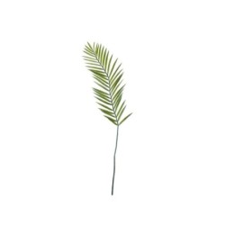 Fern Leaf Twig - Deko