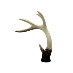 Deer Horn - Deko