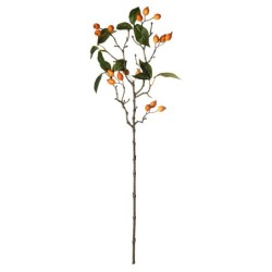 Single Berry Branch Organge 66cm - Deko