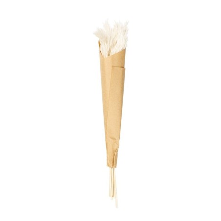 Hierba de Pampas Seca Natural - Deko