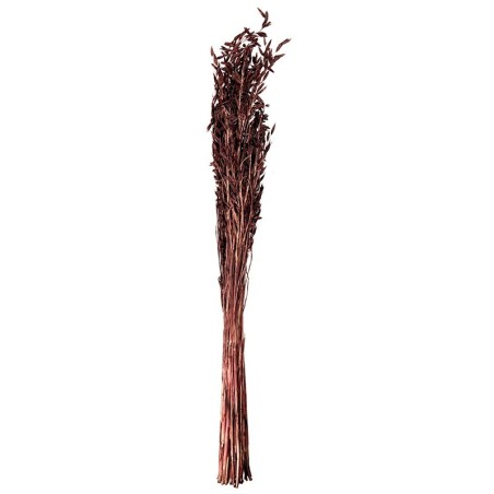 Ramo de Flores Secas Avena - Dried Flowers