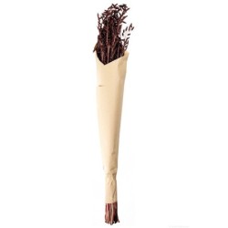 Ramo de Flores Secas Avena - Dried Flowers