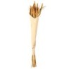 Setarea - Dried Flowers