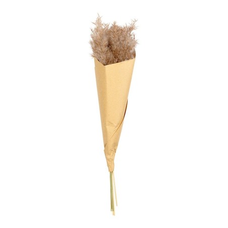 Erva-das-Pampas Secas Castanho 30x35cm - Deko