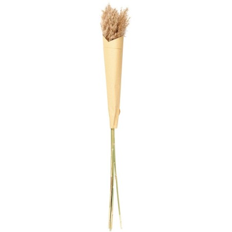Erva-das-Pampas Secas Castanho 70x75cm - Deko
