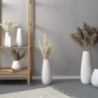 Erva-das-Pampas Secas Castanho 70x75cm - Deko