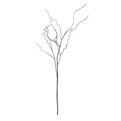 Branch Dark Brown 100cm - Deko