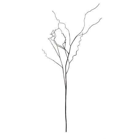 Branch Dark Brown 100cm - Deko