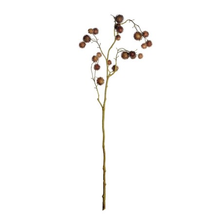 Ramo com Frutos Castanho Claro 93cm - Deko