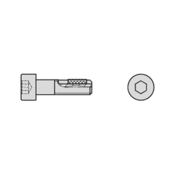 CHEMITOOL FASTENERS Hexagon Socket Cap Screw 8.8 M6X20 DIN 912-ZN