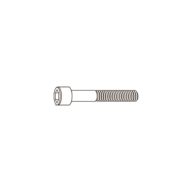 CHEMITOOL Hexagon Socket Head Cap with Low Head DIN 6912 M6x10 8.8 Without Finishing