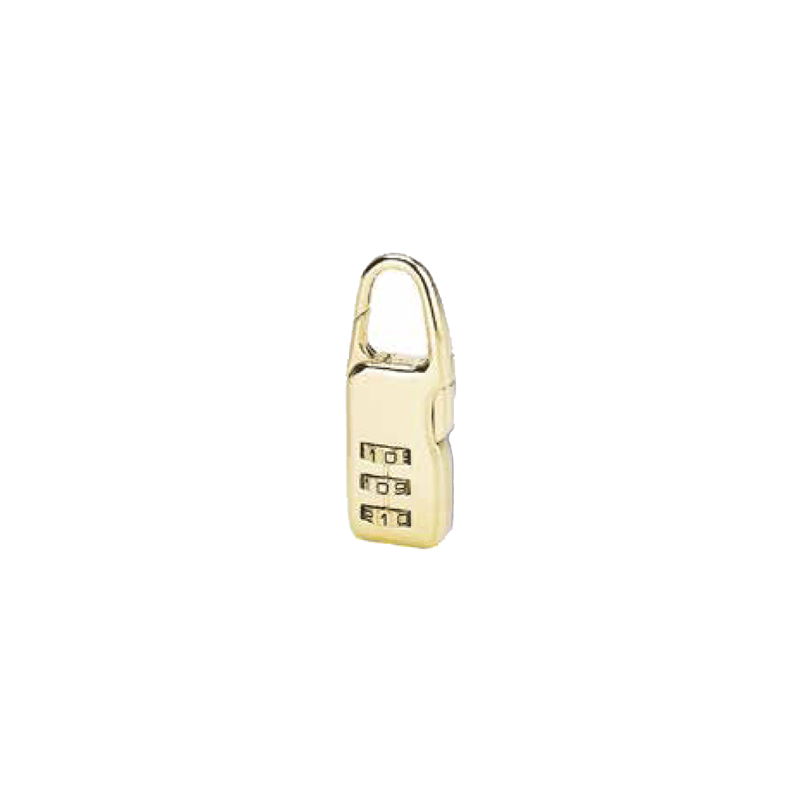 THIRARD 21mm Golden Modification Swish Lock THIRARD 21mm Golden Modification Swish Lock