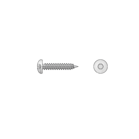 CHEMITOOL Cross Recessed Pan Head Tapping Screw DIN 7981C 4,8x100 White Zinc Plated