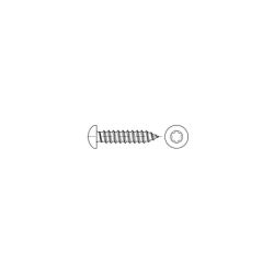 D7981C-ZN AUTOROSCANTE C/Q TORX 5,5X50