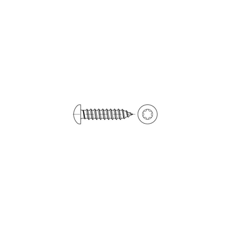 D7981C-ZN AUTOROSCANTE C/Q TORX 5,5X50
