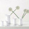 Florero 11Cm - Colori3