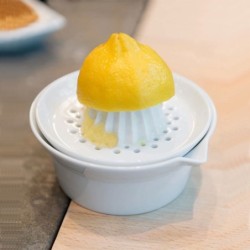 Citrus Juicer - 250ºc